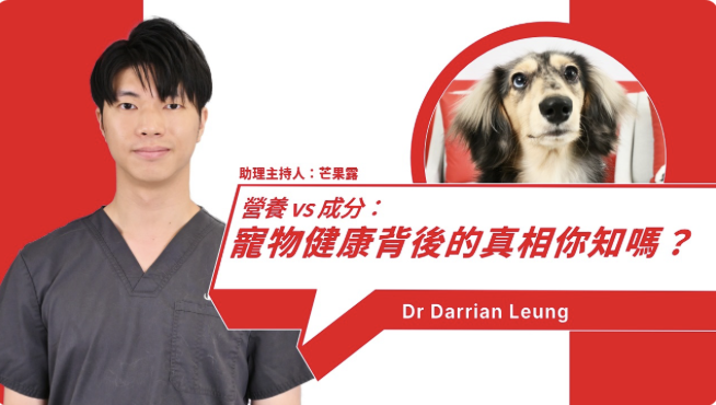 寵物食品選購指南：成分與營養的完整與均衡之道